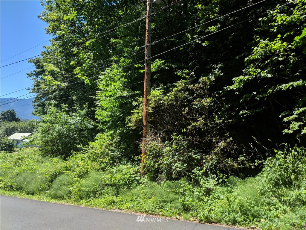 0 XX Dillard Avenue, Concrete, WA 98237, ,Land,For Sale,Dillard,NWM1328749