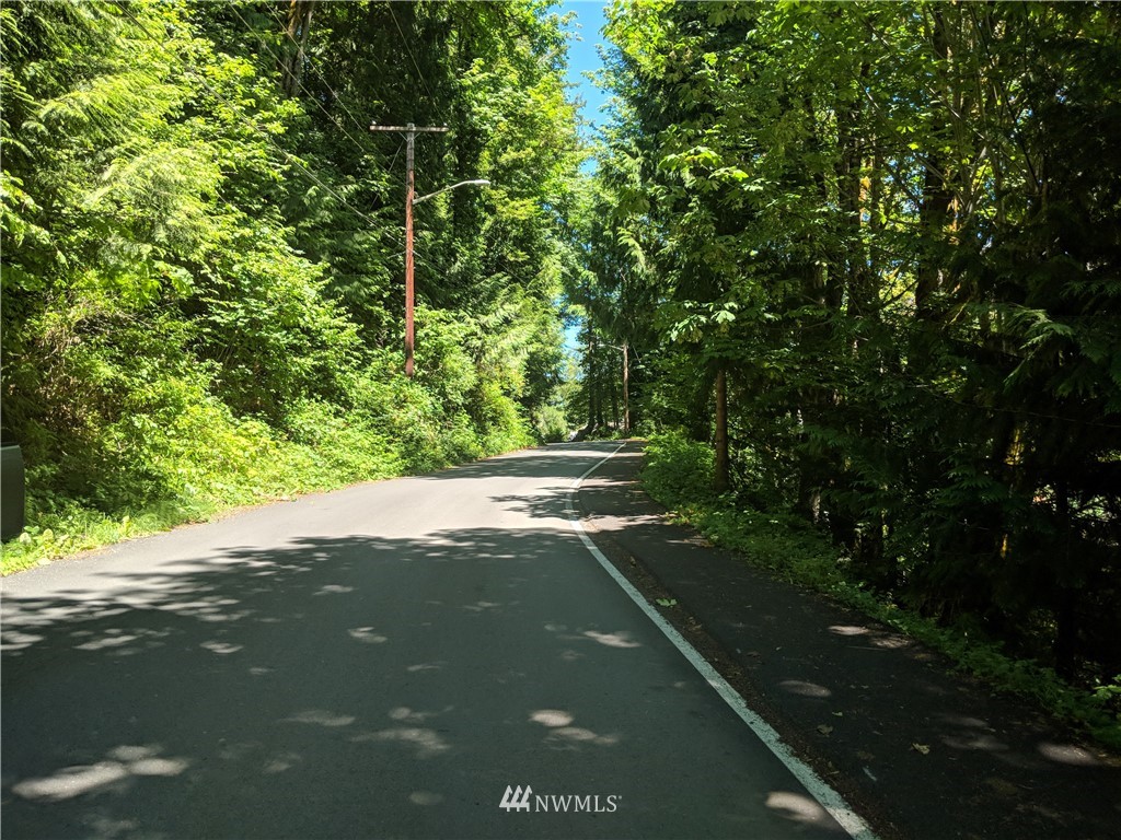 0 Dillard Avenue, Concrete, WA 98237, ,Land,For Sale,Dillard,NWM1328756
