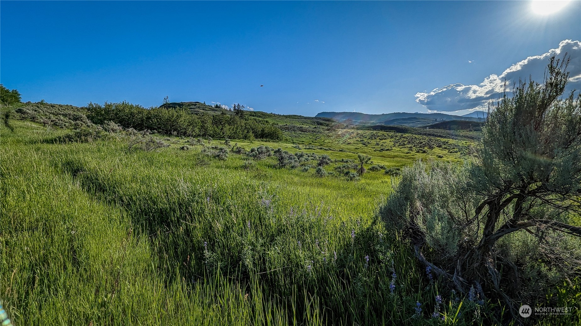 837 C Ellemeham Mountain Rd, Oroville, WA 98844, ,Land,For Sale,Ellemeham Mountain Rd,NWM2229725