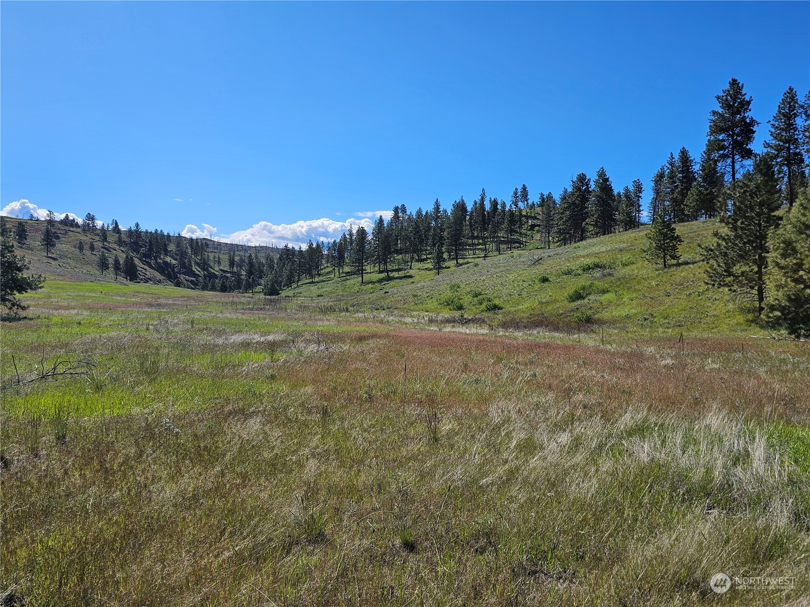 246 Point Drive, Oroville, WA 98844, ,Land,For Sale,Nine Mile Div. 1,Point,NWM2228031