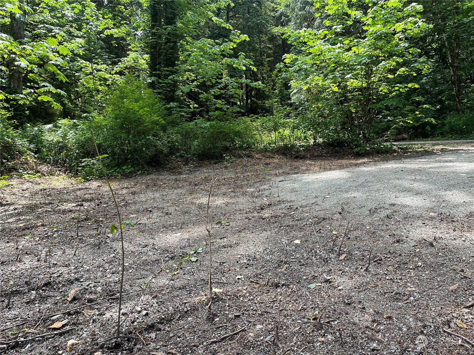 0 Cascade Way #D3-20, Marblemount, WA 98237, ,Land,For Sale,Cascade,NWM2252658