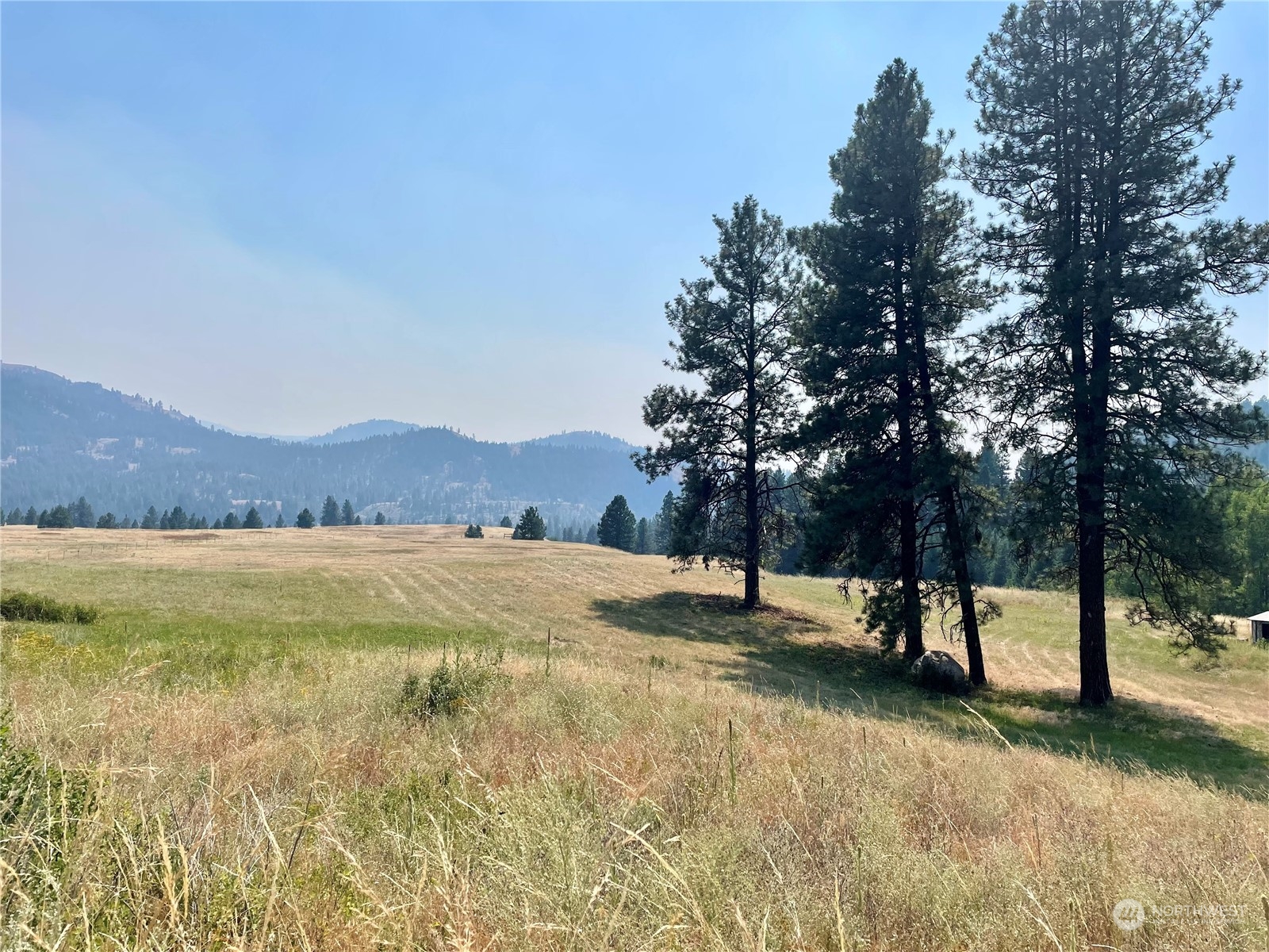 0 Malo Lake Road, Malo, WA 99150, ,Land,For Sale,Malo Lake,NWM2270367