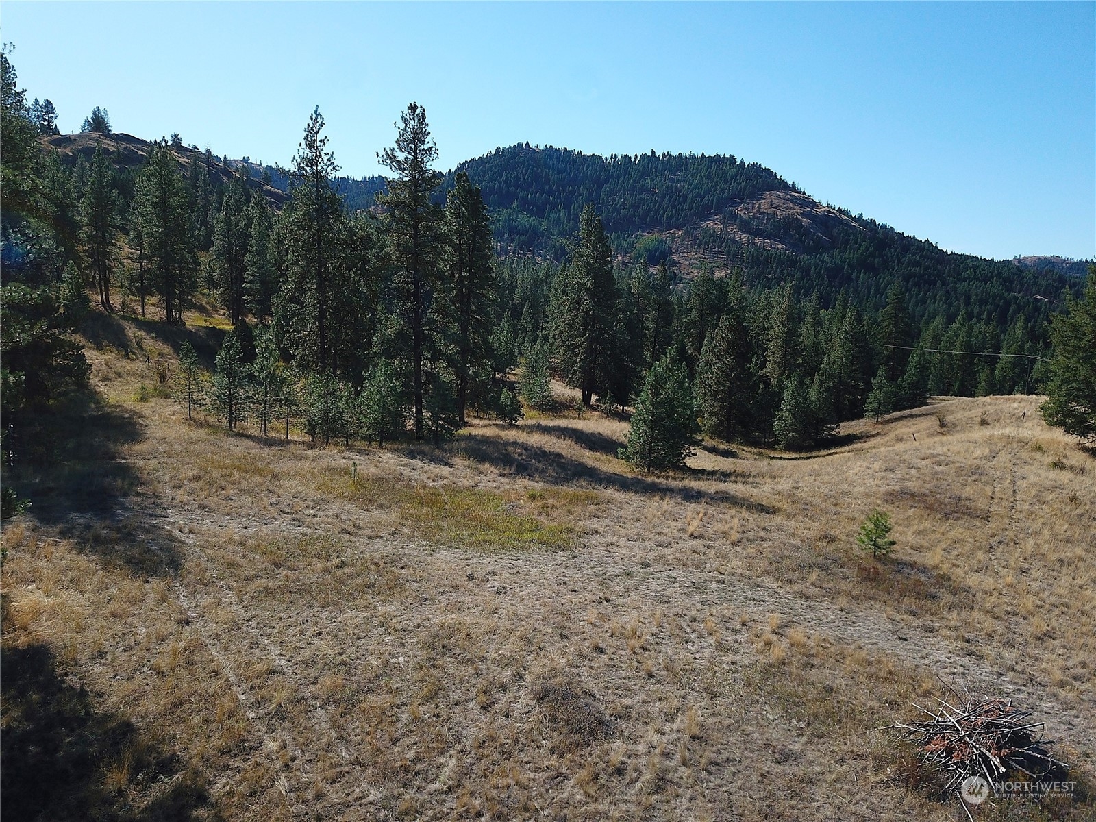 68 Jostin Lane, Malo, WA 99150, ,Land,For Sale,Jostin,NWM2292238