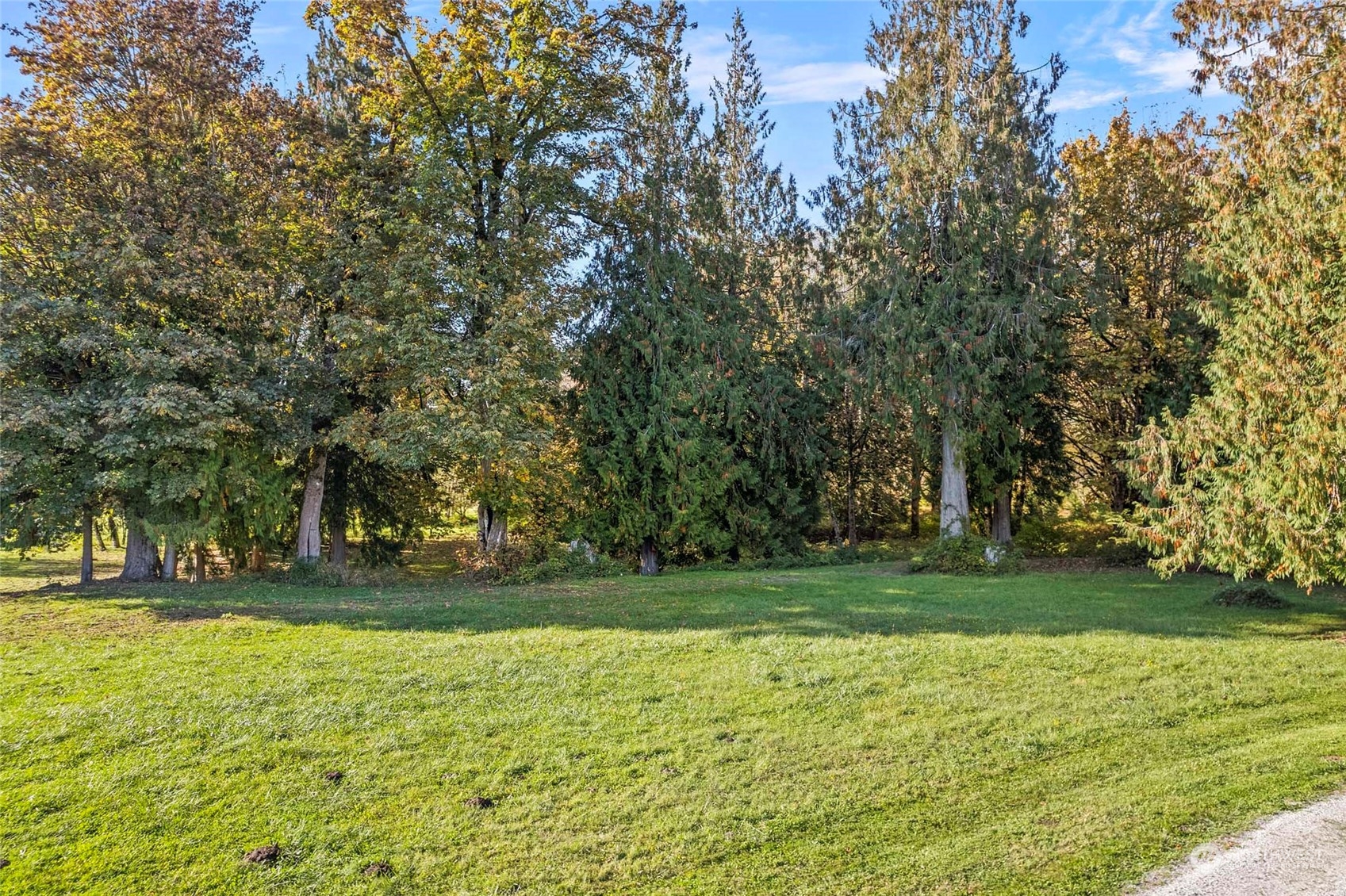 0 XXX Pressentin Ranch Dr (Lot 10), Concrete, WA 98237, ,Land,For Sale,Pressentin Ranch,Pressentin Ranch Dr (Lot 10),NWM2300595