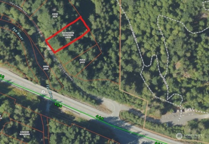 87434 Old Cascade Highway, Skykomish, WA 98288, ,Land,For Sale,Old Cascade,NWM2259433